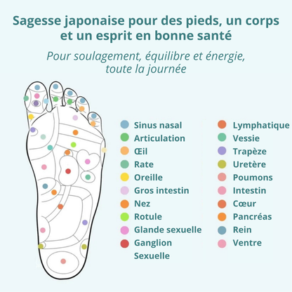 Vitalicia™ Semelles Magnétiques